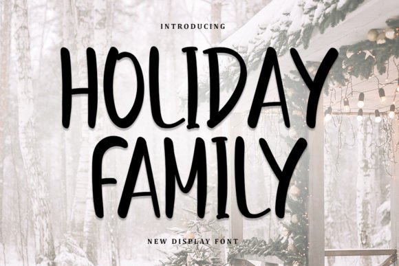 Holiday Family Script Font
