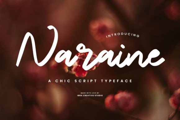 Naraine: A Stylish Script Typeface